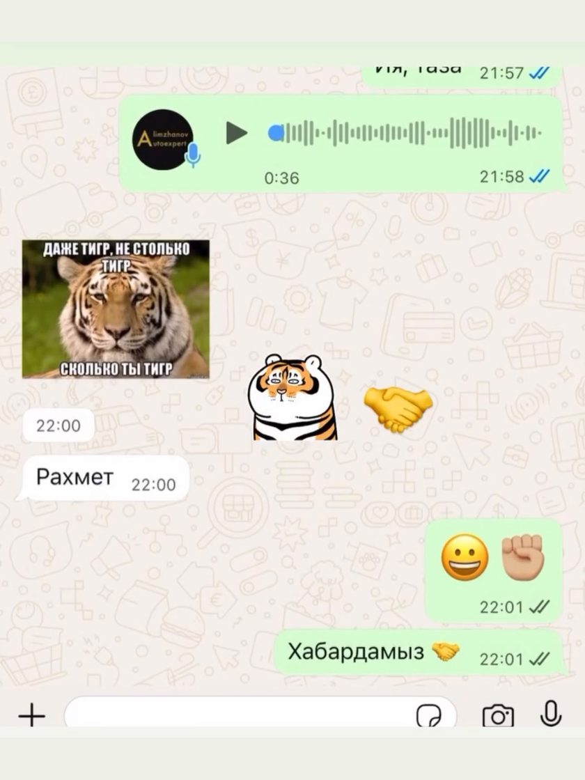 Отзыв клиента автоэксперта Еламана в WhatsApp